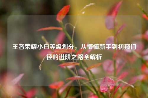 王者荣耀小白等级划分，从懵懂新手到初窥门径的进阶之路全解析