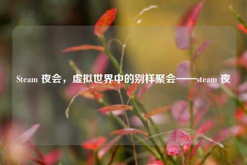 Steam 夜会，虚拟世界中的别样聚会——steam 夜廻