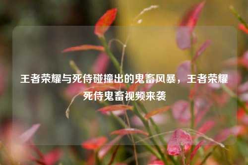 王者荣耀与死侍碰撞出的鬼畜风暴，王者荣耀死侍鬼畜视频来袭