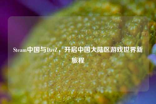 Steam中国与DayZ,开启中国大陆区游戏世界新旅程