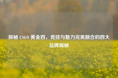 探秘 CSGO 黄金四,竞技与魅力完美融合的四大品牌揭秘