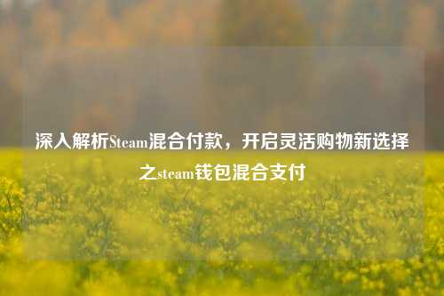 深入解析Steam混合付款，开启灵活购物新选择之steam钱包混合支付