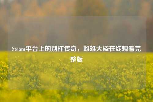 Steam平台上的别样传奇,雌雄大盗在线观看完整版