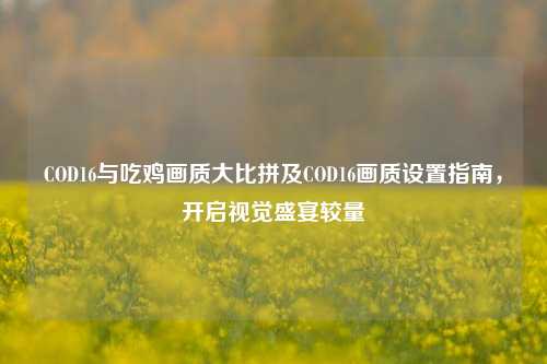 COD16与吃鸡画质大比拼及COD16画质设置指南，开启视觉盛宴较量