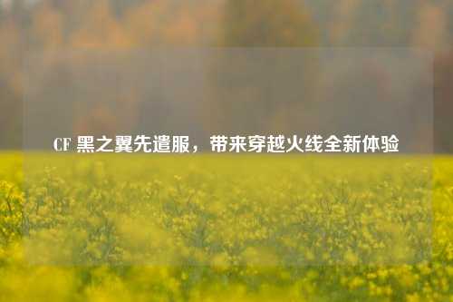 CF 黑之翼先遣服,带来穿越火线全新体验
