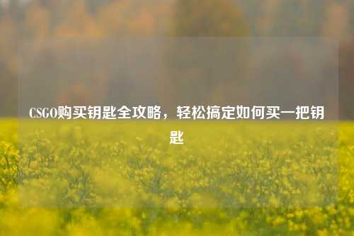 CSGO购买钥匙全攻略，轻松搞定如何买一把钥匙