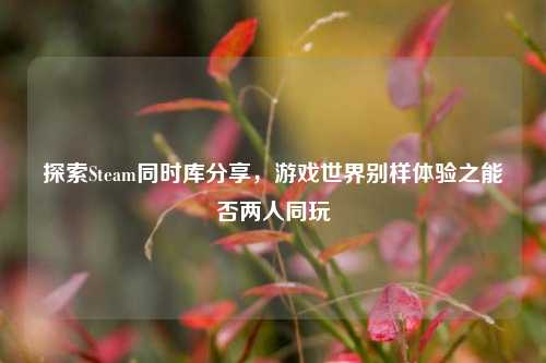 探索Steam同时库分享,游戏世界别样体验之能否两人同玩