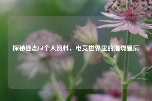 探秘姿态lol个人资料，电竞世界里的璀璨星辰