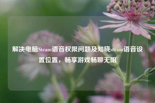 解决电脑Steam语音权限问题及知晓steam语音设置位置,畅享游戏畅聊无阻