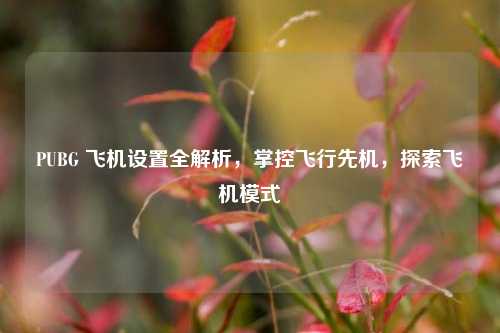 PUBG 飞机设置全解析,掌控飞行先机,探索飞机模式