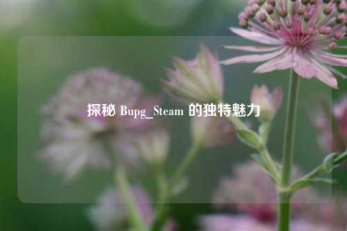探秘 Bupg_Steam 的独特魅力