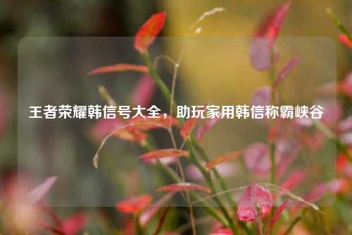 王者荣耀韩信号大全,助玩家用韩信称霸峡谷