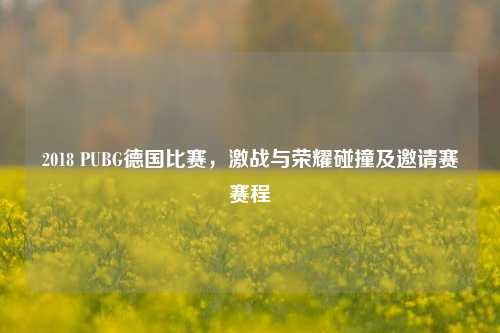 2018 PUBG德国比赛,激战与荣耀碰撞及邀请赛赛程