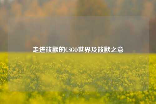 走进筱默的CSGO世界及筱默之意