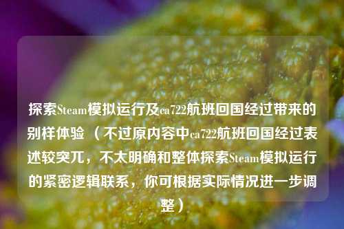探索Steam模拟运行及ca722航班回国经过带来的别样体验 （不过原内容中ca722航班回国经过表述较突兀，不太明确和整体探索Steam模拟运行的紧密逻辑联系，你可根据实际情况进一步调整）