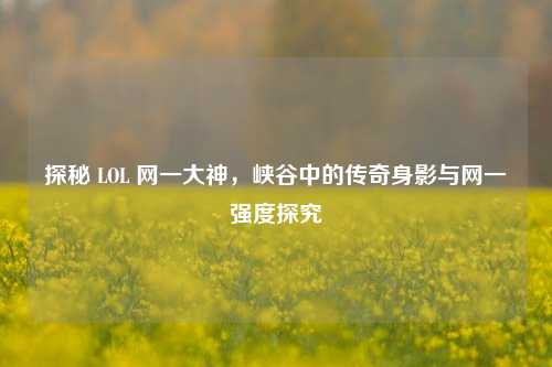 探秘 LOL 网一大神，峡谷中的传奇身影与网一强度探究