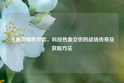 王者荣耀机甲套，科技热血交织的战场传奇及获取方法