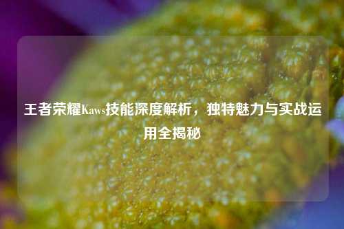 王者荣耀Kaws技能深度解析,独特魅力与实战运用全揭秘