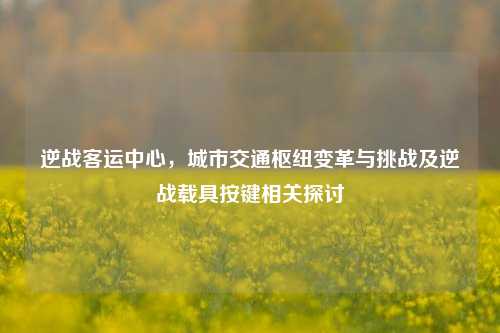 逆战客运中心,城市交通枢纽变革与挑战及逆战载具按键相关探讨