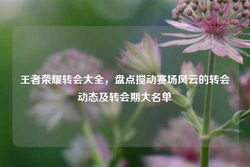 王者荣耀转会大全，盘点搅动赛场风云的转会动态及转会期大名单