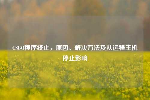 CSGO程序终止，原因、解决方法及从远程主机停止影响