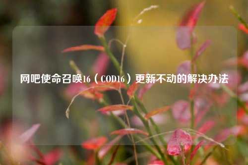 网吧使命召唤16（COD16）更新不动的解决办法