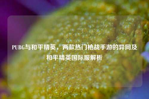 PUBG与和平精英,两款热门枪战手游的异同及和平精英国际服解析