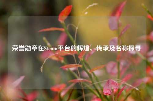 荣誉勋章在Steam平台的辉煌、传承及名称探寻