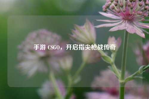 手游 CSGO，开启指尖枪战传奇