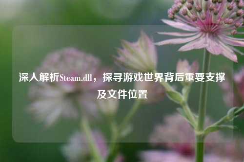 深入解析Steam.dll,探寻游戏世界背后重要支撑及文件位置