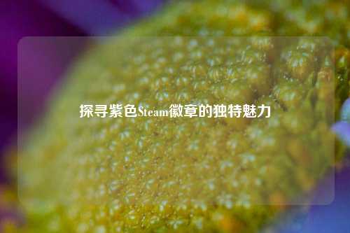 探寻紫色Steam徽章的独特魅力