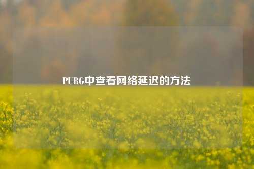 PUBG中查看网络延迟的方法