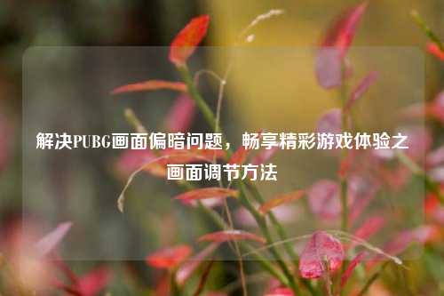 解决PUBG画面偏暗问题,畅享精彩游戏体验之画面调节方法