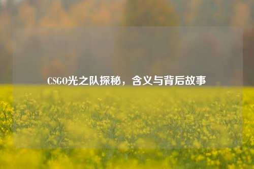 CSGO光之队探秘，含义与背后故事