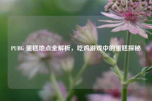 PUBG 蛋糕地点全解析，吃鸡游戏中的蛋糕探秘