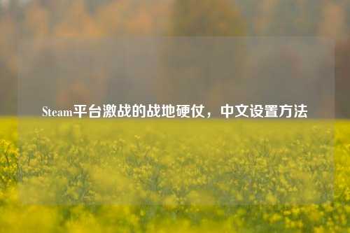 Steam平台激战的战地硬仗,中文设置方法