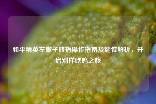 和平精英左撇子四指操作指南及键位解析，开启别样吃鸡之旅