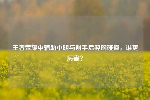 王者荣耀中辅助小明与射手后羿的碰撞,谁更厉害?