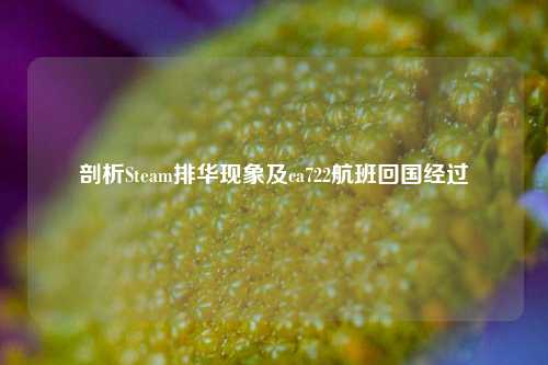 剖析Steam排华现象及ca722航班回国经过