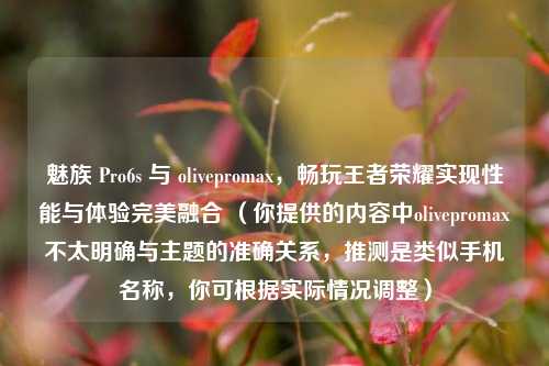 魅族 Pro6s 与 olivepromax，畅玩王者荣耀实现性能与体验完美融合 （你提供的内容中olivepromax不太明确与主题的准确关系，推测是类似手机名称，你可根据实际情况调整）