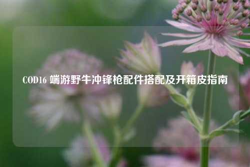 COD16 端游野牛冲锋枪配件搭配及开箱皮指南
