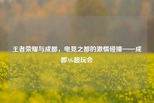 王者荣耀与成都,电竞之都的激情碰撞——成都AG超玩会