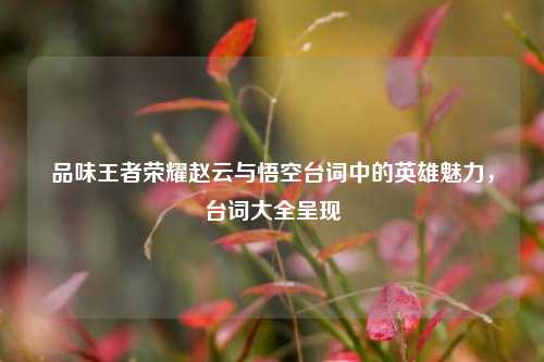 品味王者荣耀赵云与悟空台词中的英雄魅力,台词大全呈现