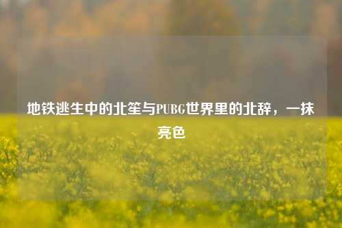 地铁逃生中的北笙与PUBG世界里的北辞,一抹亮色