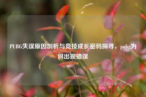 PUBG失误原因剖析与竞技成长密码探寻,pubg为何出现错误