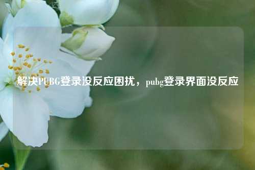 解决PUBG登录没反应困扰,pubg登录界面没反应