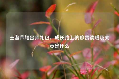 王者荣耀出师礼包,成长路上的珍贵馈赠及究竟是什么