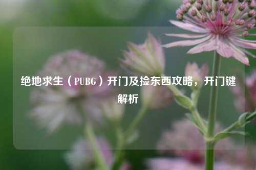 绝地求生(PUBG)开门及捡东西攻略,开门键解析