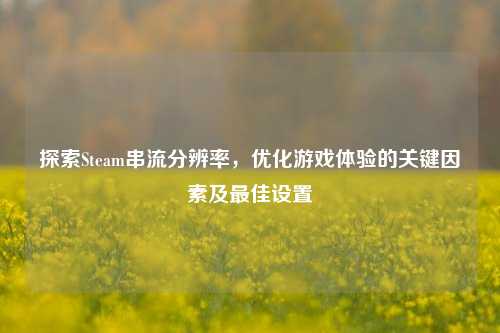 探索Steam串流分辨率，优化游戏体验的关键因素及最佳设置