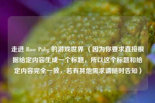 走进 Rose Pubg 的游戏世界 （因为你要求直接根据给定内容生成一个标题，所以这个标题和给定内容完全一致，若有其他需求请随时告知）